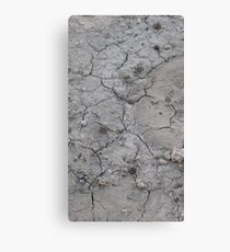 Parched Canvas Print