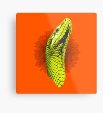 Snake Metal Print