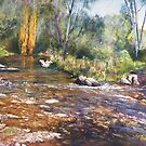 'Rocks & Ripples' - Jamieson River by Lynda Robinson