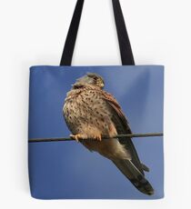 Holding The Line - Common Kestrel - None Captive Tote Bag