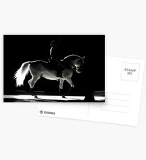 Horsemanship Postcards