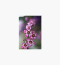 Pink Flowers Macro Art Board