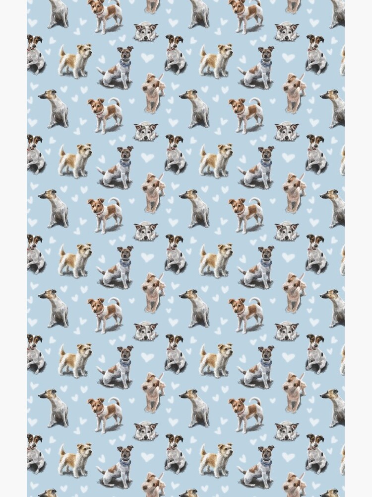 Jack Russell Terrier by elspethrose
