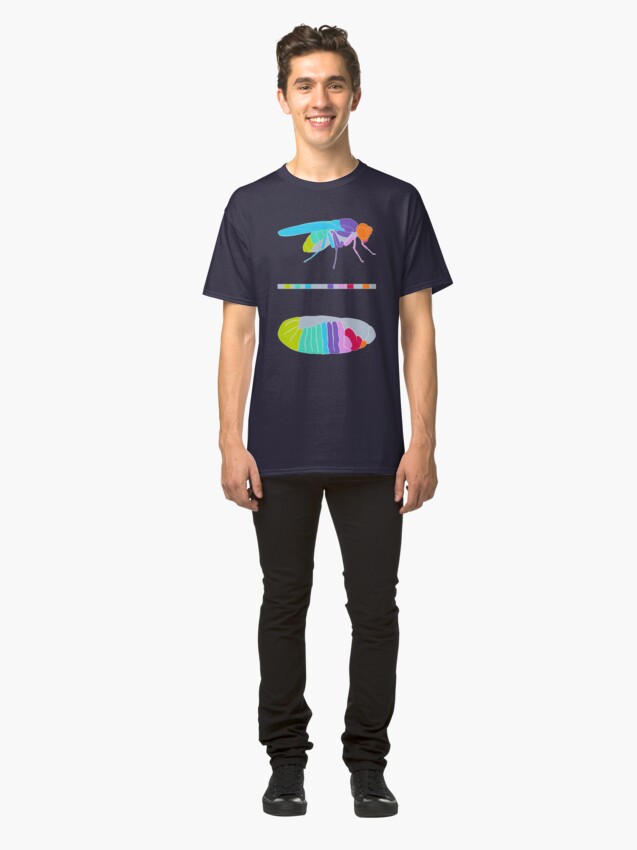 Alternate view of Drosophila Hox Genes Classic T-Shirt