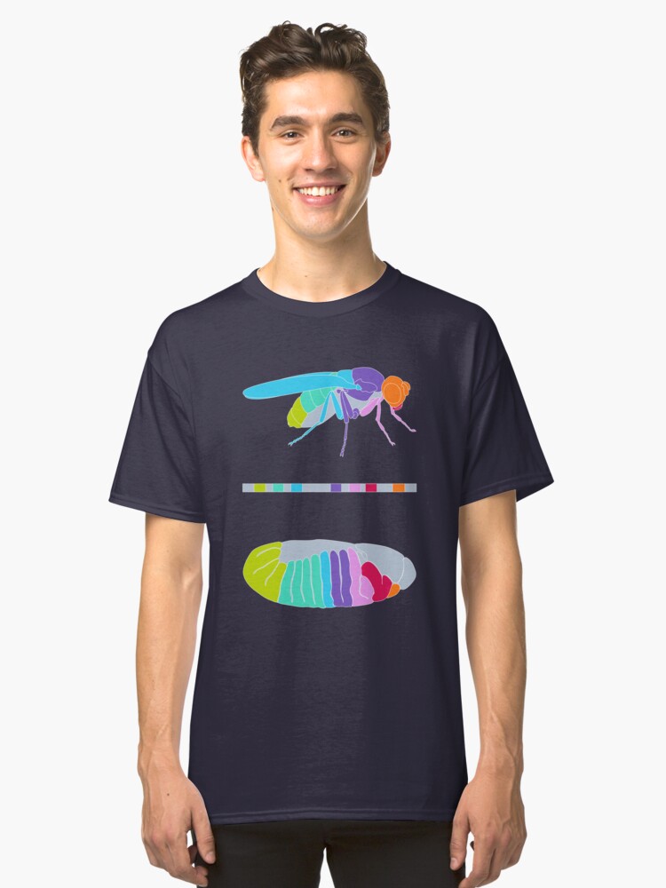 Alternate view of Drosophila Hox Genes Classic T-Shirt