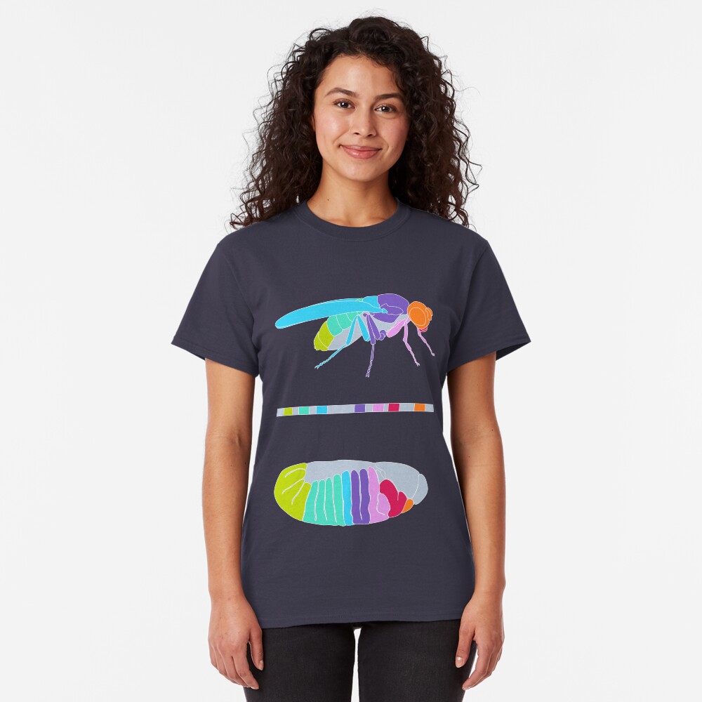 Drosophila Hox Genes Classic T-Shirt