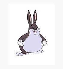 Chubby Chungus Photographic Print