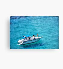 It's a hard life, part 1..... Metal Print