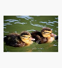 Double Trouble Photographic Print