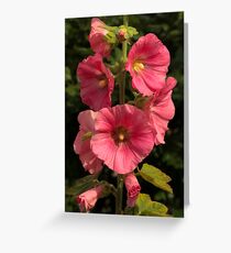 Hollyhock Greeting Card