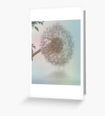 He loves me ,he loves me not Greeting Card