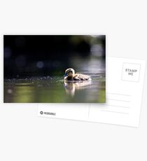 Cruising on a Sunny Afternoon Postcards