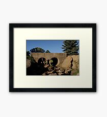 Pouyiok- 4th of July series 6 of 8 Framed Print