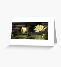 Water Lily Greeting Card