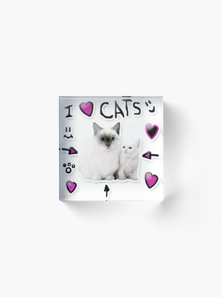 Denis Daily I Love Cats Acrylic Block By Thatbeardguy Redbubble - 20 facts about me denis daily the best roblox youtuber youtube