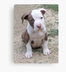 Kai Canvas Print