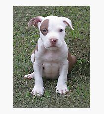 Rascal Photographic Print