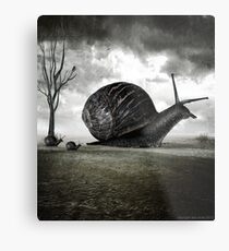 Snail Trail Metal Print