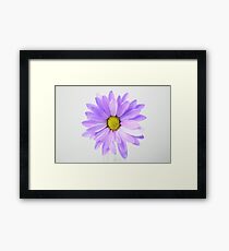 Petal Windmill Framed Print