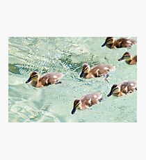 Rat Pack Photographic Print