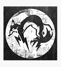 Foxhound V1 (White) Photographic Print