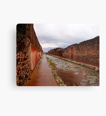 The Streets of Pompeii Metal Print