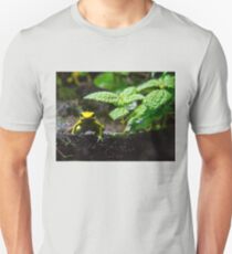 I'm frog. Who are you? Slim Fit T-Shirt