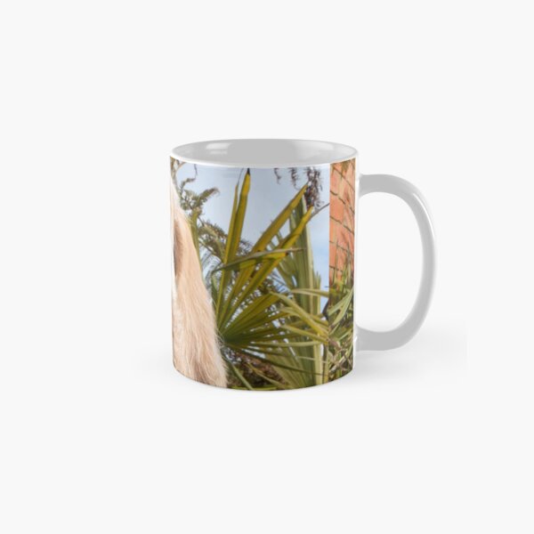 Orange and White Italian Spinone Puppy Dog Classic Mug