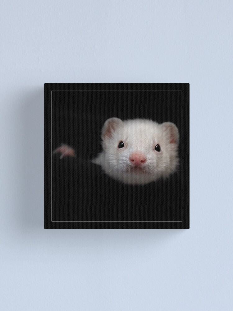 Alternate view of -005- Canvas Print