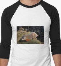 Groundhog Men's Baseball ¾ T-Shirt