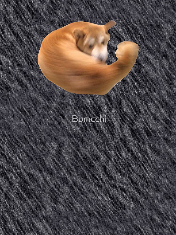Shiba Punch! by Bumcchi