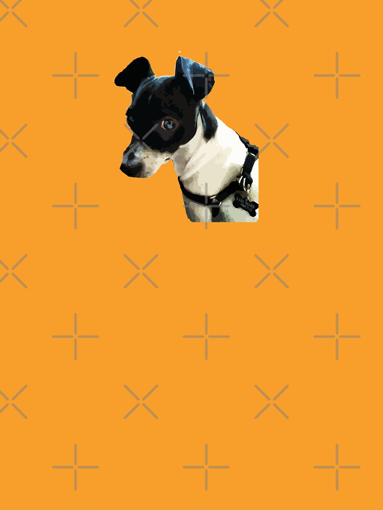 Carl the Rat Terrier by willpate