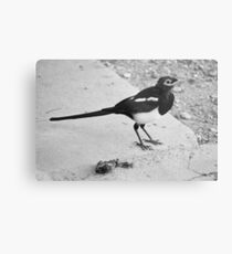 Meat Eater Metal Print