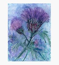 The Thistle Photographic Print