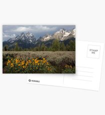 Grand Teton & Mule's Ears Postcards