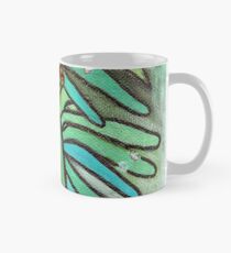 Regnerische Euphorbia # 1 Tasse (Standard)