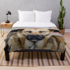 Dog, street dog Throw Blanket
