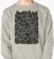Suspicious Cats Pullover Sweatshirt