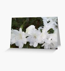 Nature's Refreshment Greeting Card