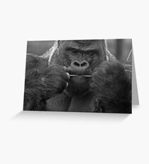 not sure this will fill me up ............. Greeting Card