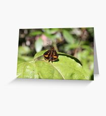 large Skipper Greeting Card