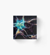 Bloque acrílico Red de células cerebrales de neuronas impresión de fotografía de arte en 3D