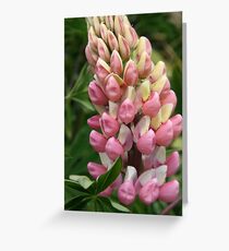 Lupin Greeting Card