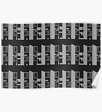Salk Institute, Louis Kahn - Modern architecture series Poster