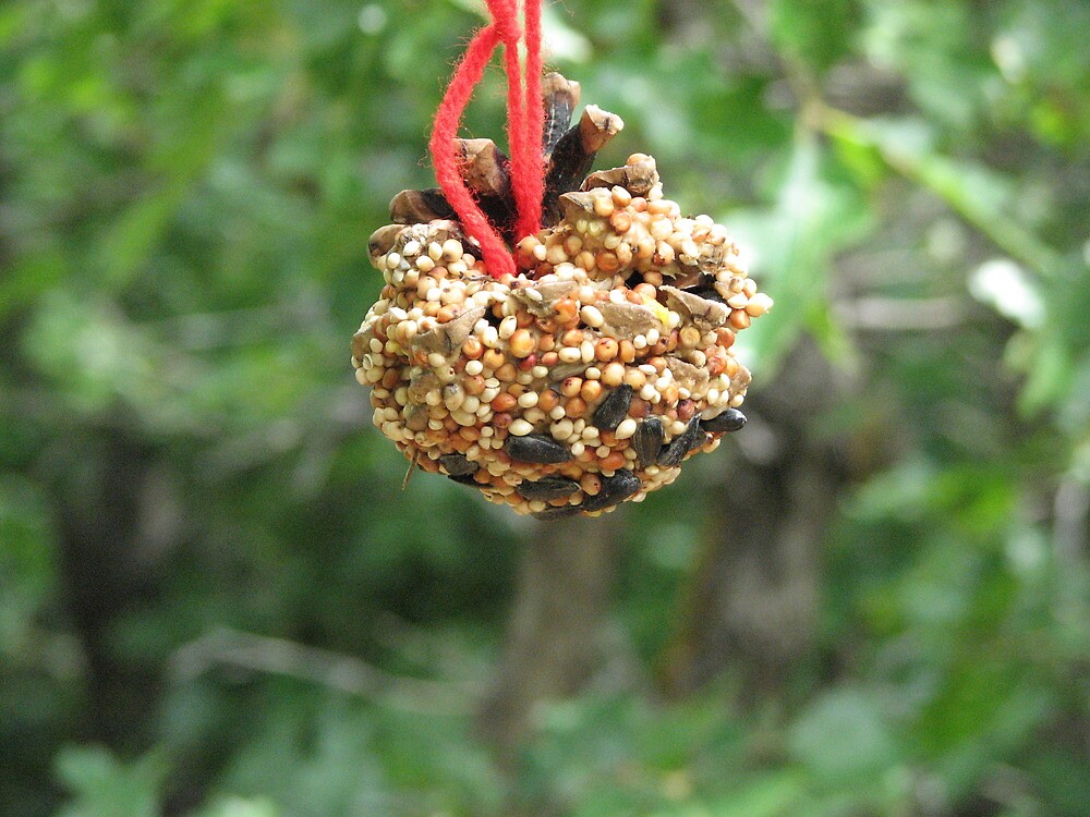 "Peanut Butter and Seeds Pine Cone Bird Feeder" by caroljean Redbubble