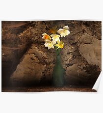 Daffodils Poster