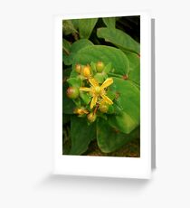 Wilde gelbe Blume Grußkarte
