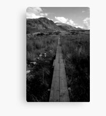 Walk The Plank Canvas Print