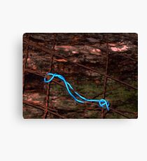 String On Fence Canvas Print