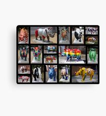 RHINO MANIA : Chester UK Canvas Print